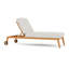 Alpine Outdoor Teak Chaise Lounge-1700104264