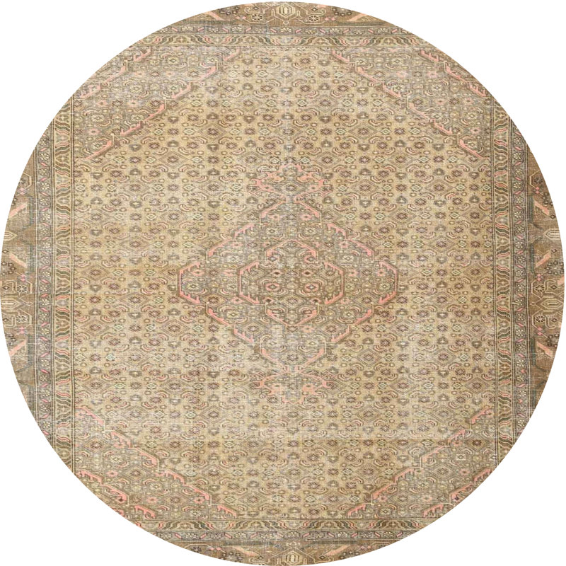 Oriental Indoor Rug, Round 6'