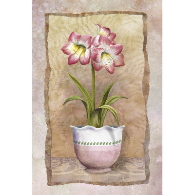 Spring Amaryllis - Wrapped Canvas Art Prints