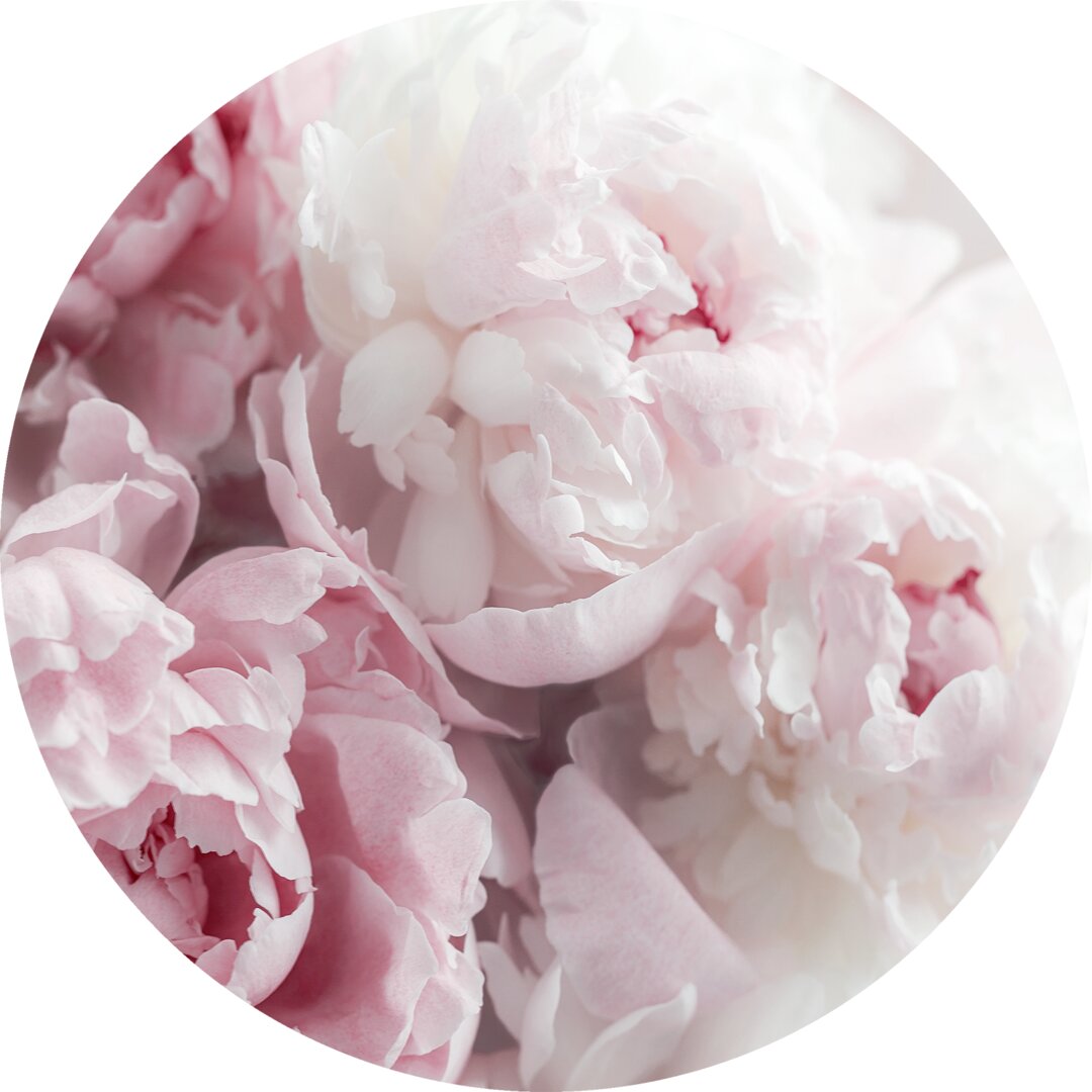 Glasbild Peonies II