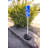 US Weight Sign Kit Post Scratch Resistant Fillable Base and Easy-To-Use Brackets for Signs