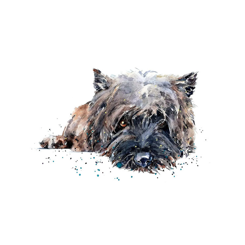 Cairn Terrier - Wrapped Canvas Painting, 20.32cm H x 30.48cm W