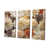 Toile tendue