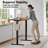 Putnam Height Adjustable Standing Desks-194064654-222829241