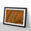 Leaf Veins - Picture Frame Photograph Print-55772189-55772195