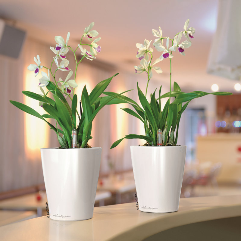 Deltini Pot Planter, White, 13cm H x 10cm W x 10cm D