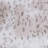 Faux Fur 26" x 26" Polyester Euro Pillow