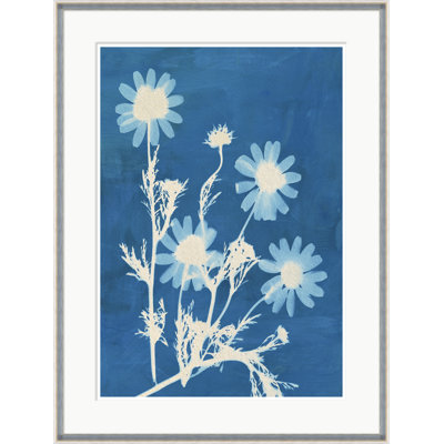 Montauk Daisies I Framed Print