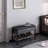 Braulio Faux Leather Upholstered Flip Top and Shoe Storage