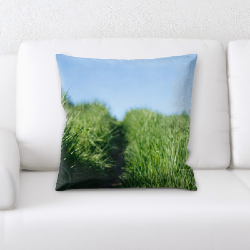 Microsuede Throw Pillow