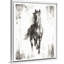« rustique black stallion i », peinture sur toile-1741830208-1741830239