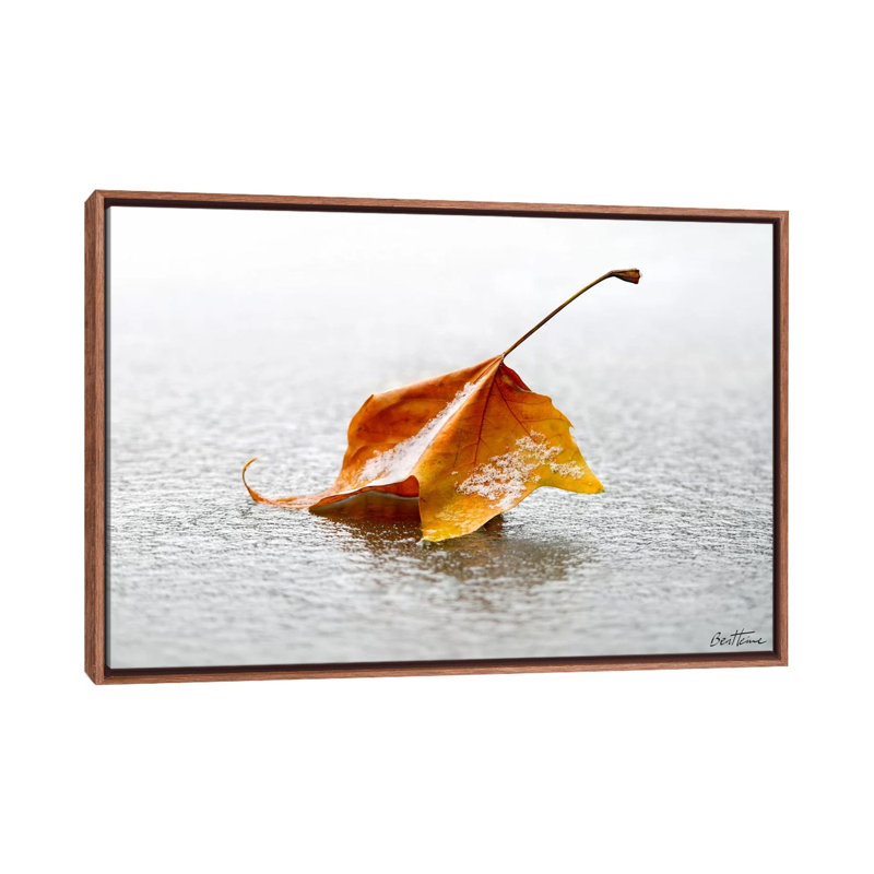 «Crisp» par Ben Heine - reproduction de photo, H 40 po x l 60 po x 1,5 po, Toile avec cadre en bois brun classique