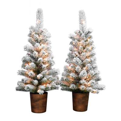 Arbre en pot Arakiel S / 2- 3,5 pi