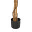 Faux Plant in Pot Liner-343481695