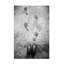 Art sur toile ,ologi-103104130