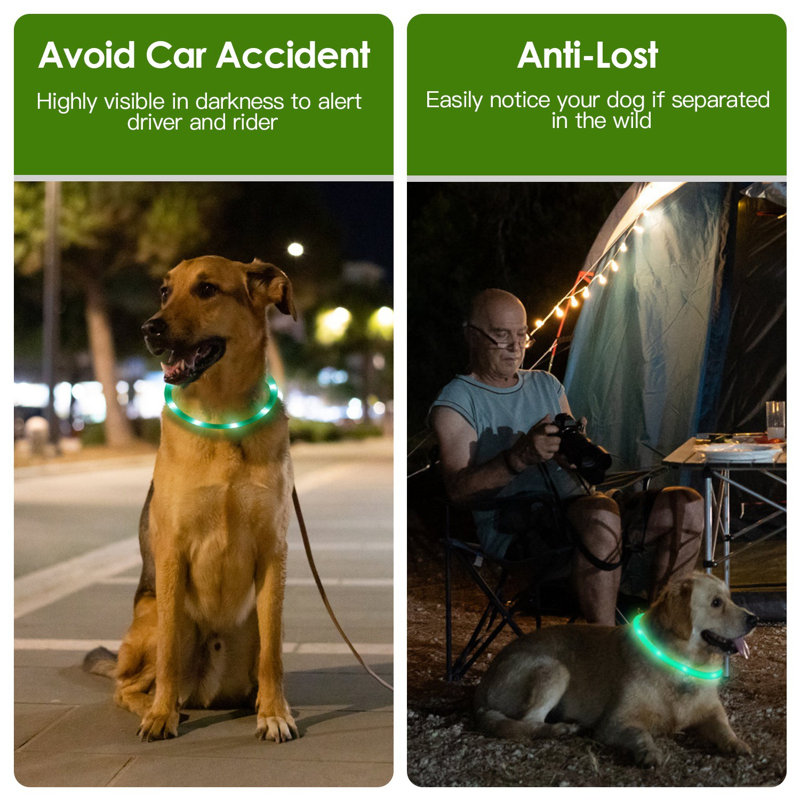 USB Rechargeable Lighting LED Dog Collar, H 27,55 po x P 0,39 po