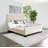 Armelinda Upholstered Platform Bed-1202502921