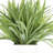 Weatherhill Faux Grass Plant in Fiberstone Pot