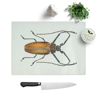 Tempered Glass Beetle Illustration Pl. 11 Chopping Board