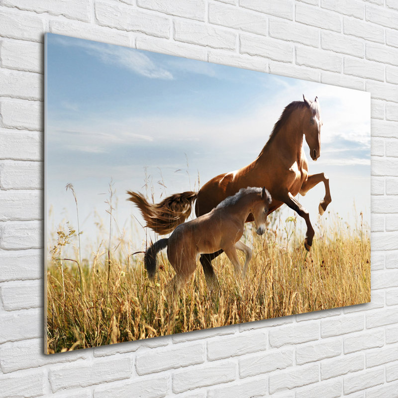 Mare With Foal - Unframed Art Prints on Glass
