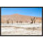 Namibian Skeleton Trees VII Print by Richard Silver-73326459-73370861