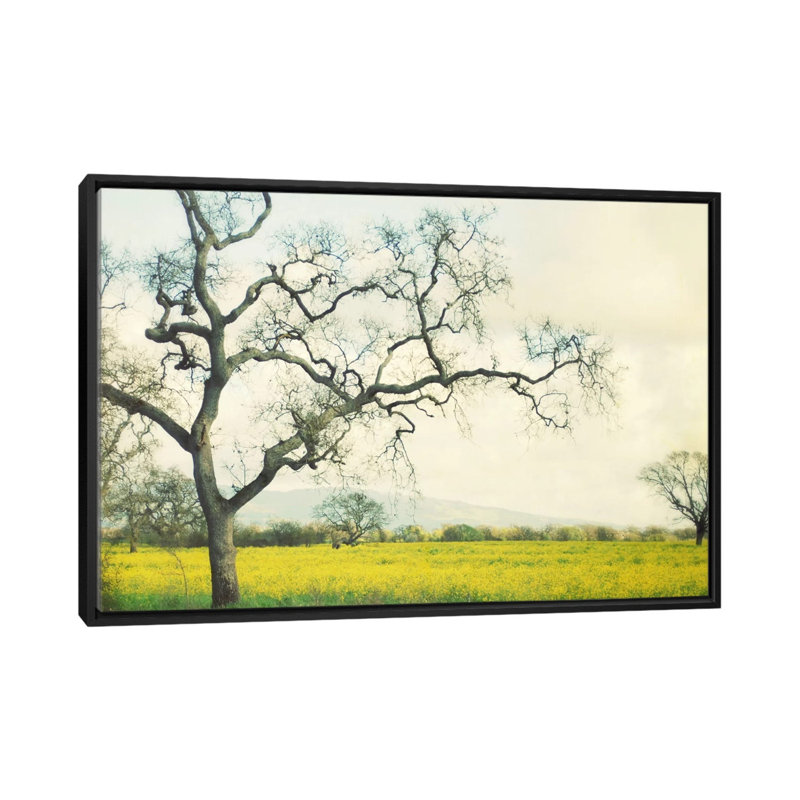 Reproduction de photo sur toile, Toile avec cadre noir, Pas de tapis, H 18 po x l 26 po x P 1,5 po
