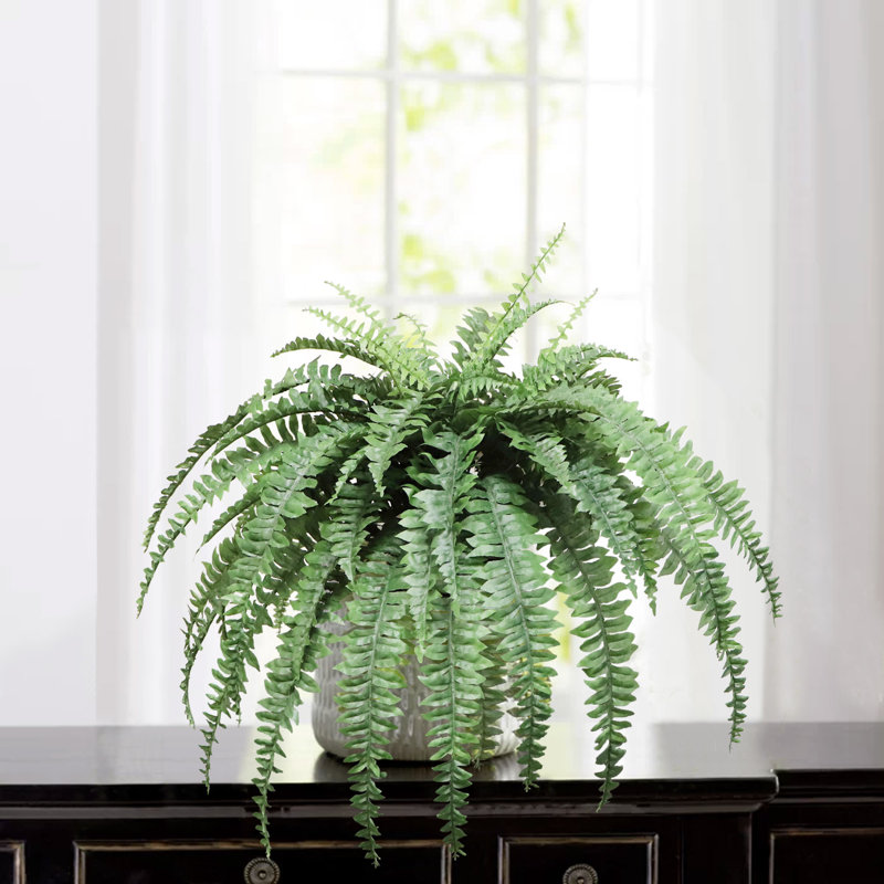  Fougère artificielle de 20 po Boston - Fausse verdure réaliste pour la décoration intérieure