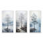 «Gray Tree Monicoloch Whispers Landscape», 3 pièces sur toile-495975180-495975182