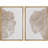 Pastel Tan Unique Wood Tree Ring Neutral Modern Organic Framed Canvas 2 Pieces Print Wall Art Decor-75068593-75068592