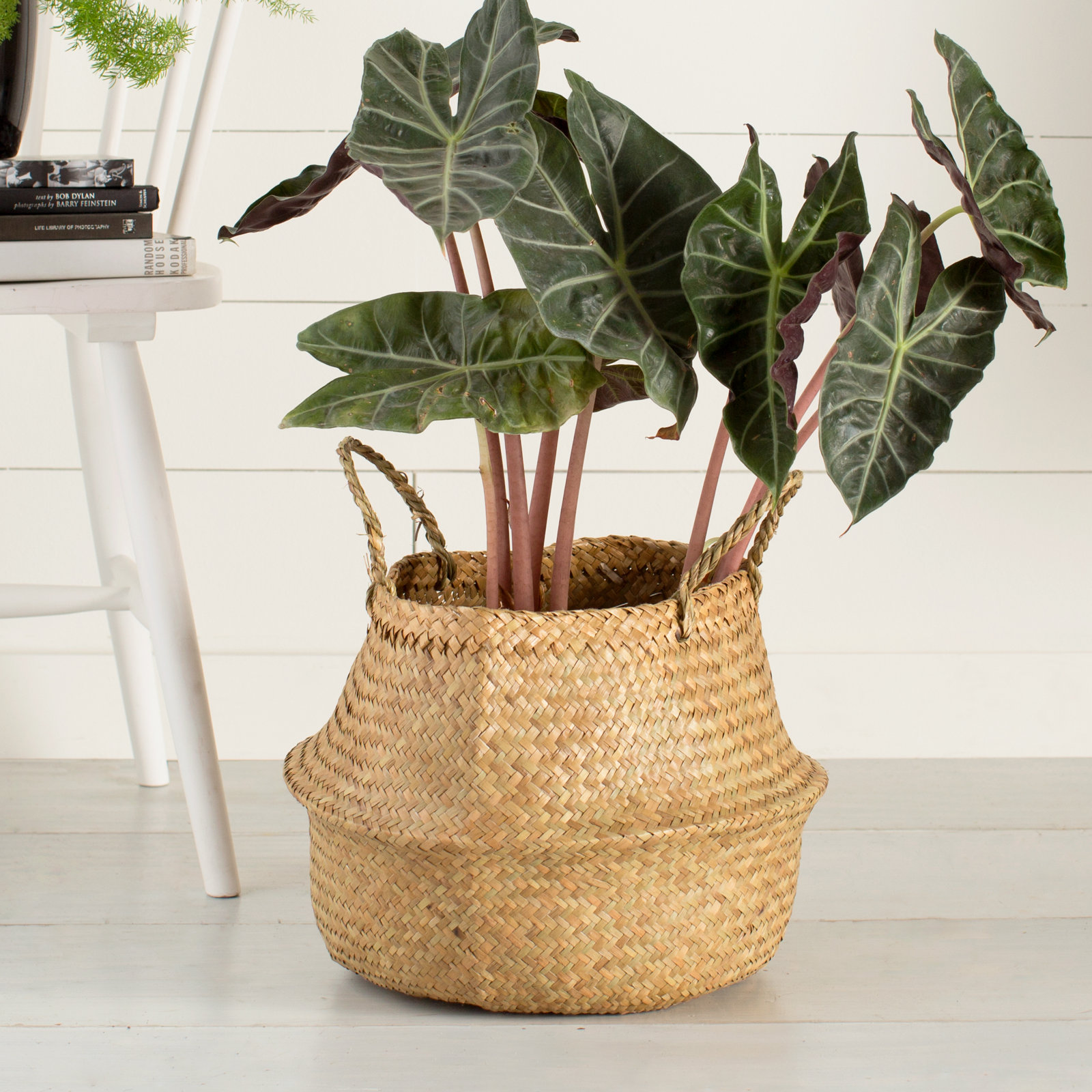Handmade Seagrass Basket With Handles 1, Natural, 13.5" H x 19.5" W x 19.5" D