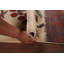 Tapis décoratif fait à la main animaux 2xie Ziegler
