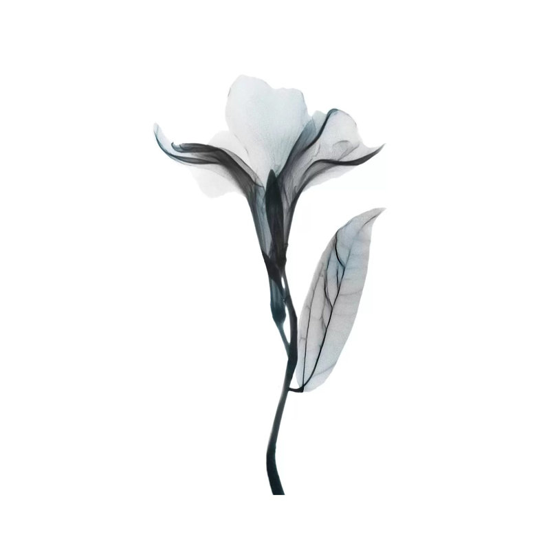Ombre Sea Salt Oleander I by Albert Koetsier - Wrapped Canvas Gallery-Wrapped Canvas Giclée, 20.32 cm H x 30.48 cm W
