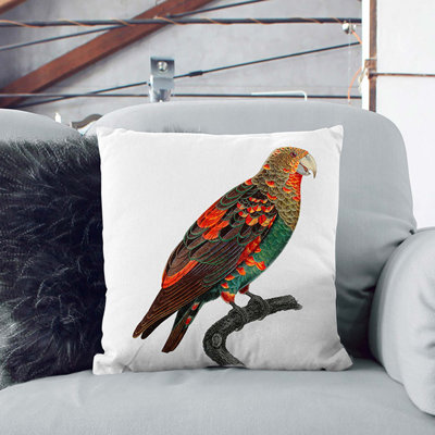 Brown-Necked Parrot Square Throw Cushion