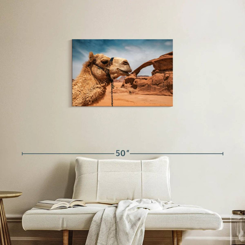 Chameau Brampt dans le désert du Wadi Rum, H 20 po x l 30 po