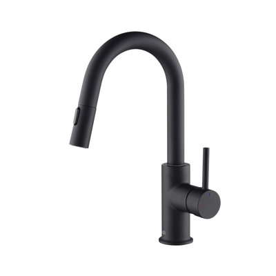 Luxe Pull-Down Kitchen Faucet with Accessories