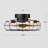Wister 20'' Modern Farmhouse Dimmable Ceiling Fan with Remote Control Reversible DC Motor