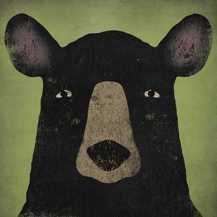 Ours noir - Impression sur toile, H 37 po x l 37 po x P 1,5 po