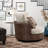 Dahlonega Swivel Barrel Chair-652143693-635921149