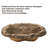 Weather Resistant Pool Fountain-549693396