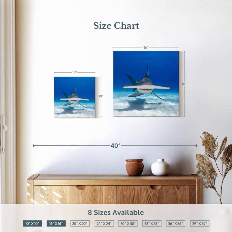 Albern Hammerhead Shark Swimming, 16" H x 16" W
