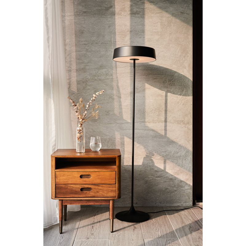 Lampe sur pied 55 po China, Noir mat