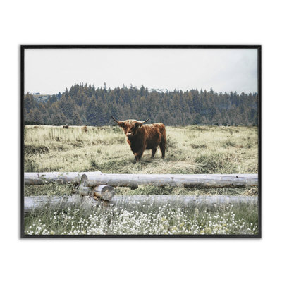 Cattle Overlooking Fence Black Framed Giclee Art by Gail Peck