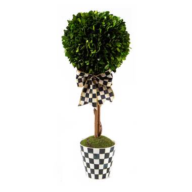 CHOOSE 6″, 8″ OR 10″ Small Mini Heart Shaped Preserved Boxwood