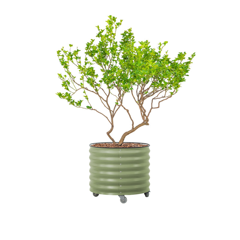 Boîte à fleurs ronde pour l'extérieur 23,5 po de hauteur et 27 po de largeur, Olive Green
