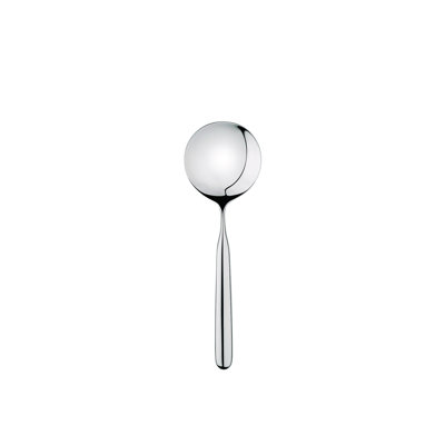 Stainless Steel Serving Spoon