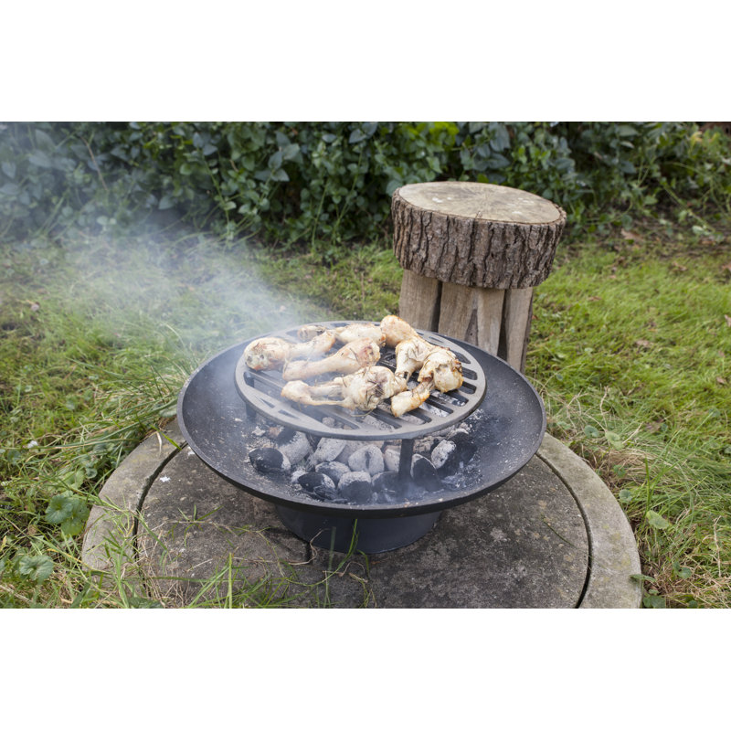 Fire Pit Grill