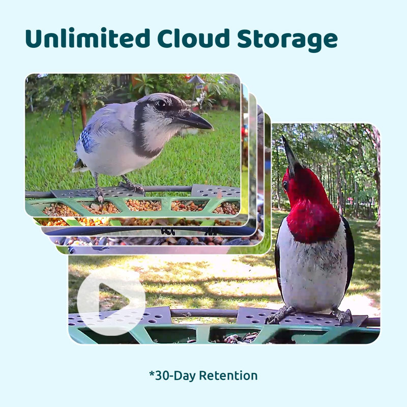 Birdfy 2 Smart Bird Feeder with Camera, 1080P HD, AI Bird Recognition, Wireless, Weatherproof, Eco-Friendly Design, Easy Installation, Live Sharing & Cloud Storage