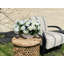 UV Protected Geranium Arrangement In Oblong Vase