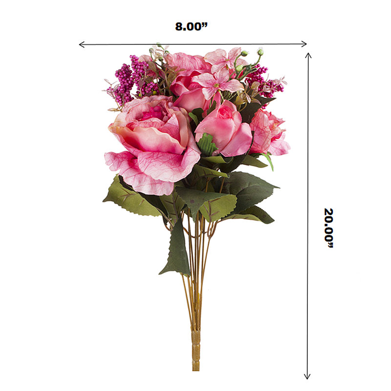 Rosier, Rose