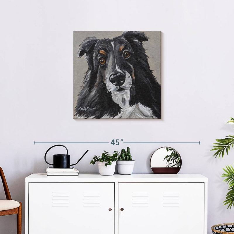 Brampt Sheltie On Gray